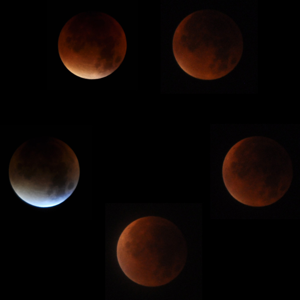 Lower left: ca 4:00am. Upper left: ca. 4:15am. Upper right: ca. 4:30am. Lower right: ca. 4:47am. Bottom: ca. 5:00am.