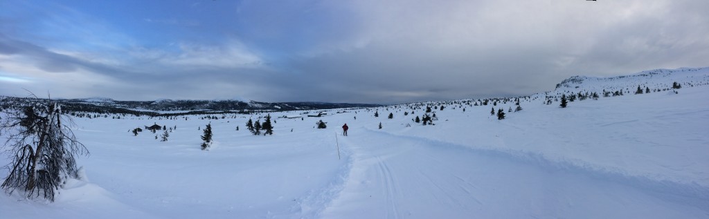 Skeikampen rundt with John and our friend, Northwind. We Rove!