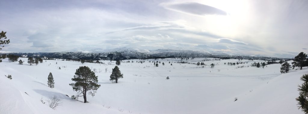 Out on a påske ski tour in Rindal kommune